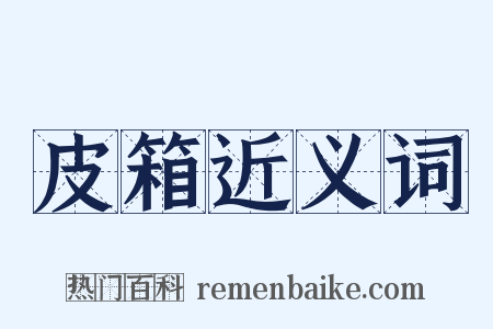 皮箱近义词是什么意思的图片
